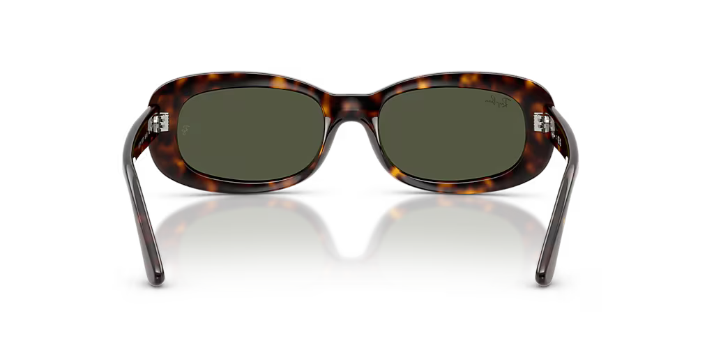 Ray Ban RB2221