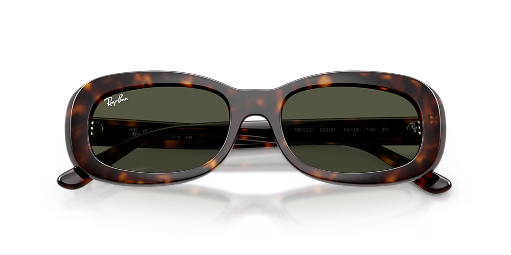 Ray Ban RB2221