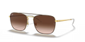Ray Ban RB3588
